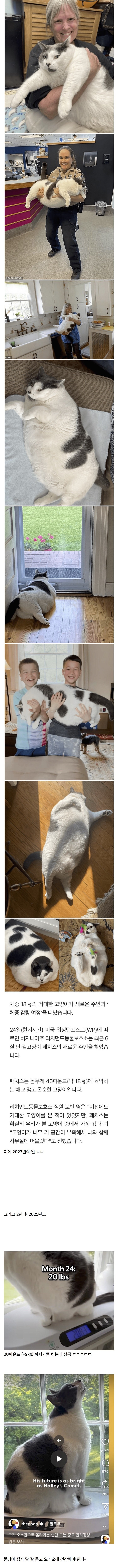 미국에서 화제였던 18kg 뚱냥이 ㄷㄷㄷㄷ_1.jpg