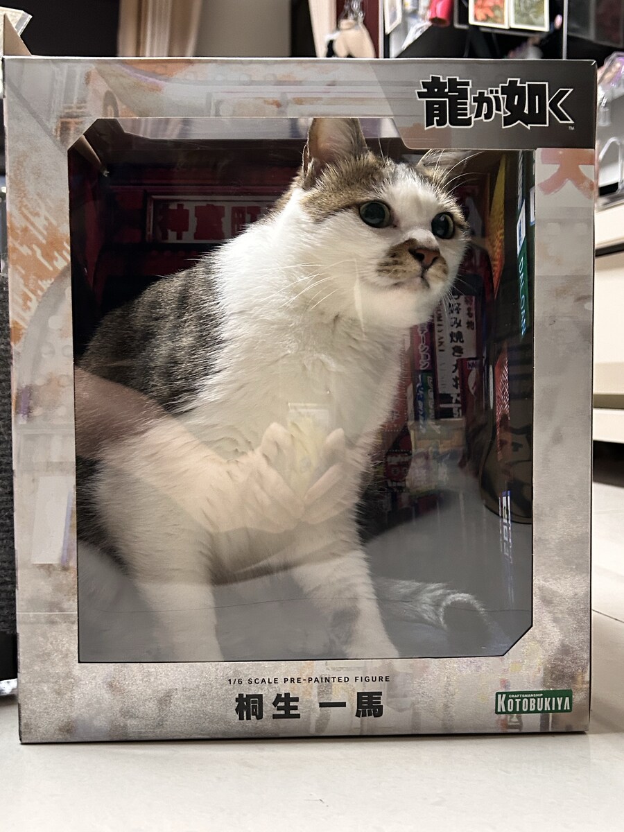 매우 흉폭한 도지마의 용.jpg_1.jpg