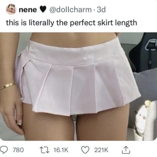 외국인들이 생각하는 최적의 치마길이.JPG_1.png