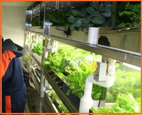 동절기 남극기지에는 식량창고가 텅 빌정도로 먹을게 없다구요!_1.jpg