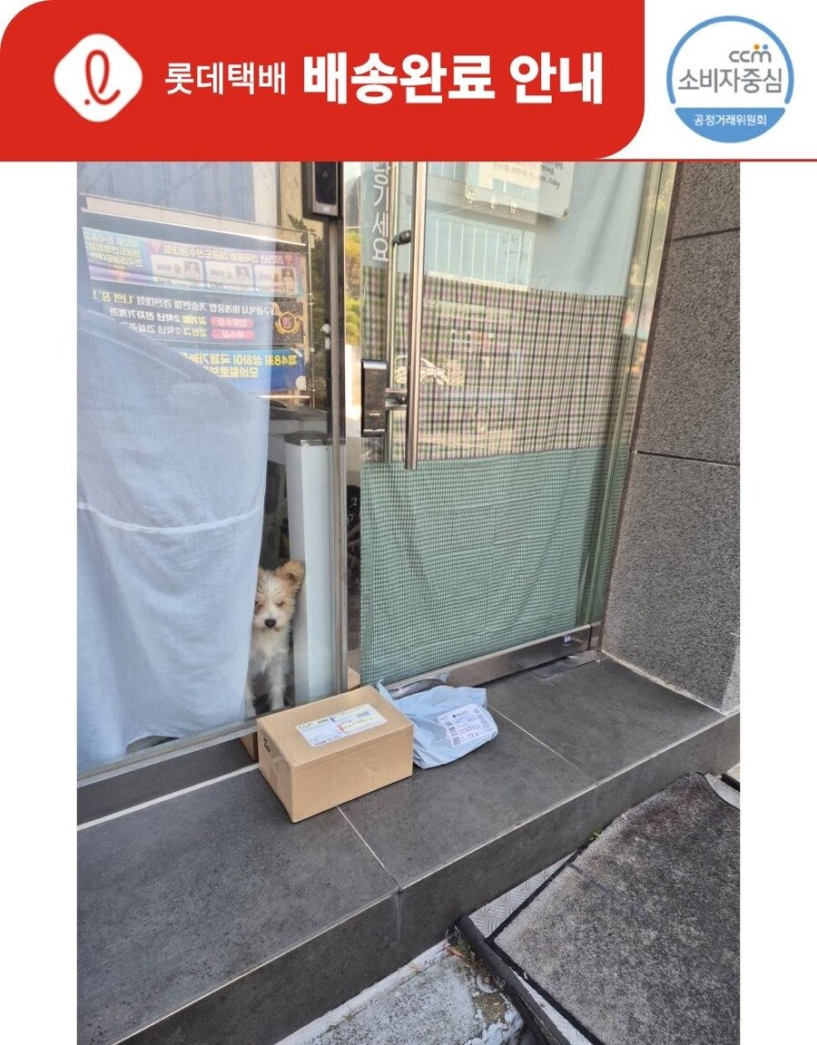 밖에서 우리집 개가 잘있는지 확인 할 수 있는 방법_2.png