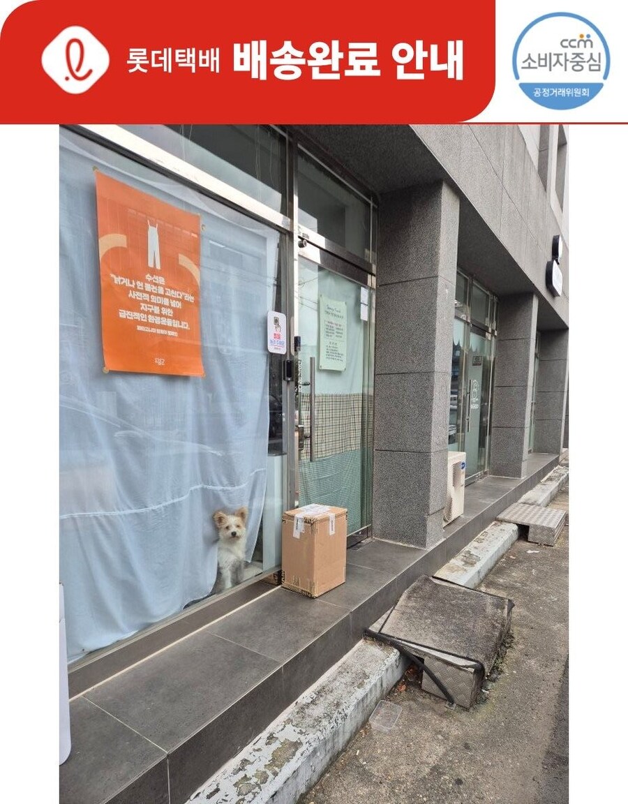 밖에서 우리집 개가 잘있는지 확인 할 수 있는 방법_3.png