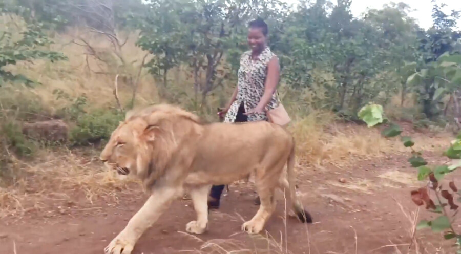 목줄 안하고 산책시키는 여자.jpg_1.jpg