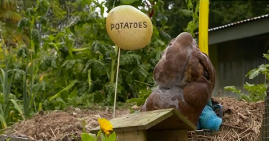 감자칩이 창렬인 이유_2.jpg