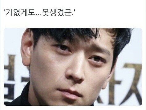 날 쳐다보는 고양이 표정에서 뭔가가 느껴진다_2.jpg