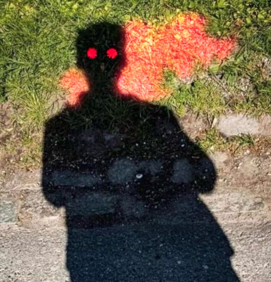 생각없이 민들레한테 다가가면 안되는 이유_1.jpg