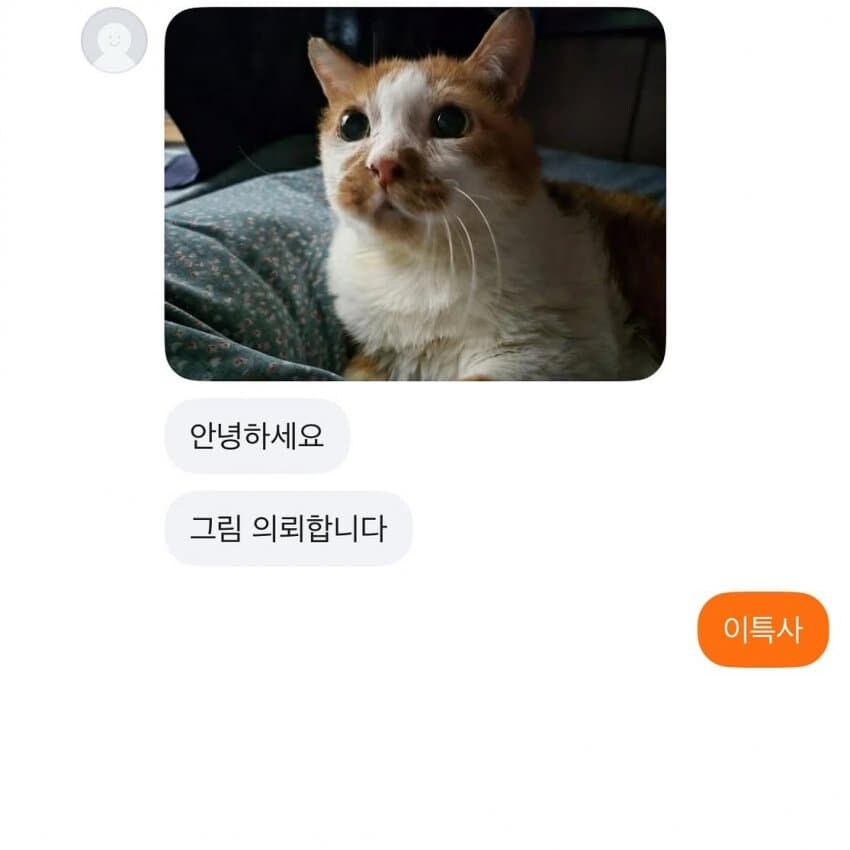 냥포티_1.jpg