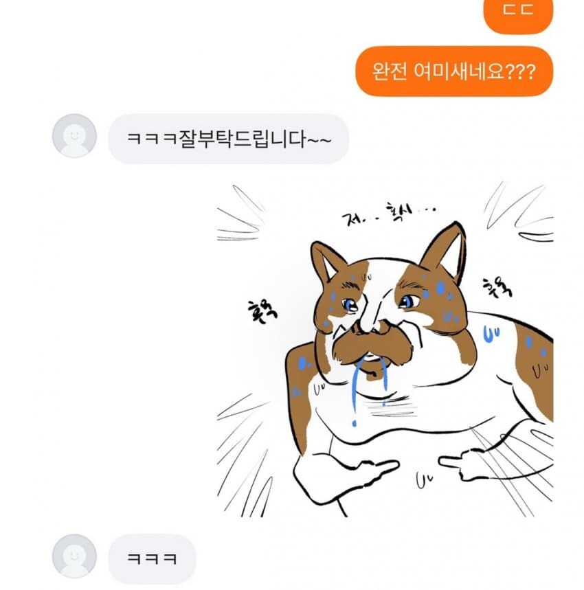 냥포티_4.jpg