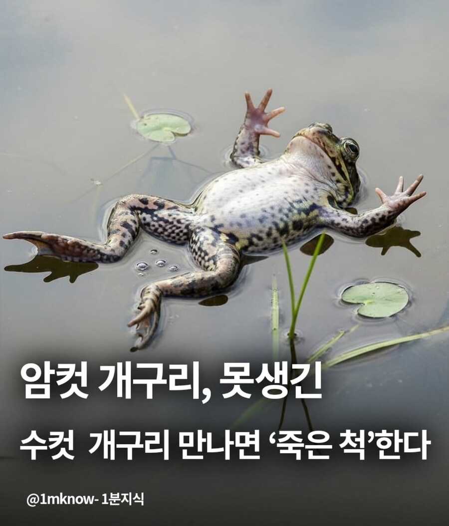 굳이 알 필요가 없는 동물 관련 지식_1.jpg