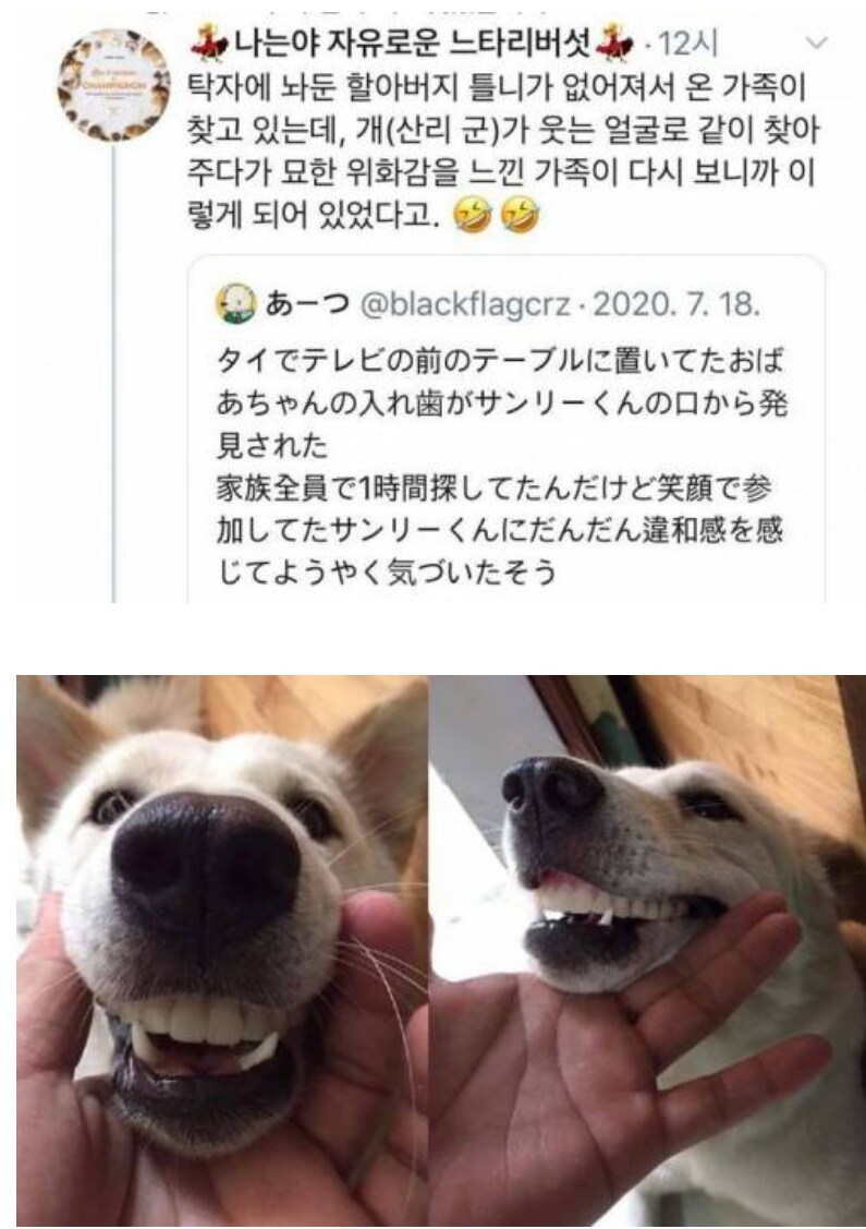 할아버지 틀니 사라졌어..._1.png