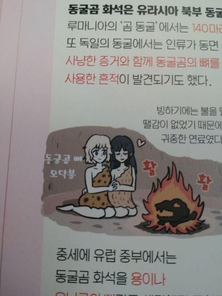 빙하기 귀중한 연료였던 동굴곰 뼈.jpg_1.jpg
