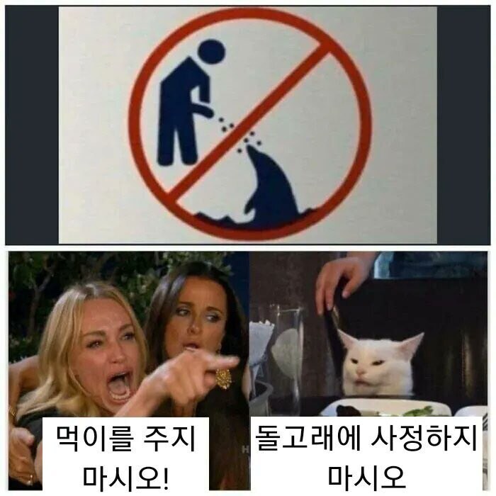 무슨 표지판으로 보여?_1.jpg