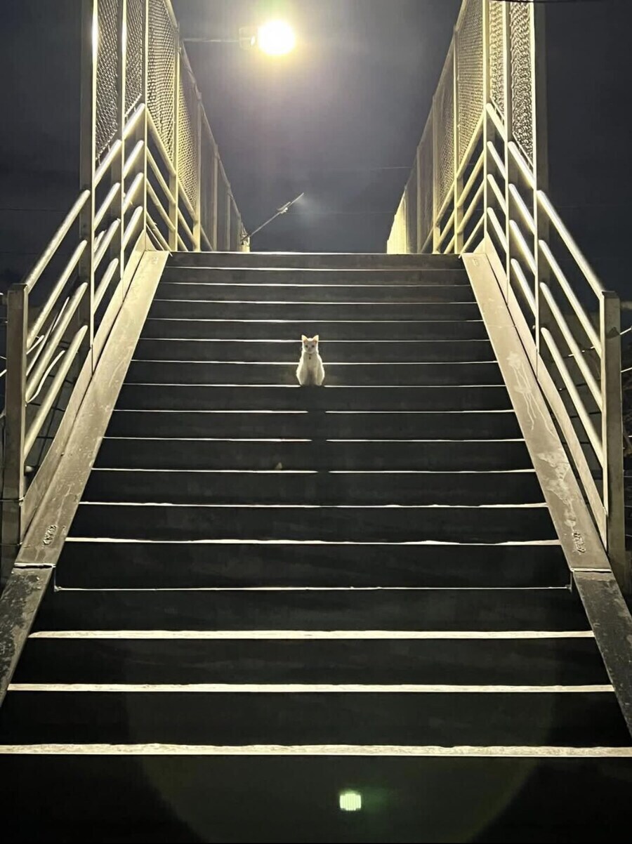 모든 이야기가 끝나고 밝혀지는 흑막_1.jpg