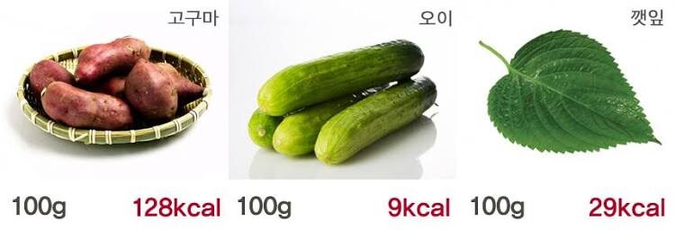 생 오이가 맛없는 이유_1.jpg