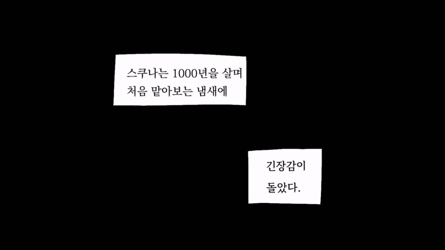 신형만 vs 스쿠나_29.jpg