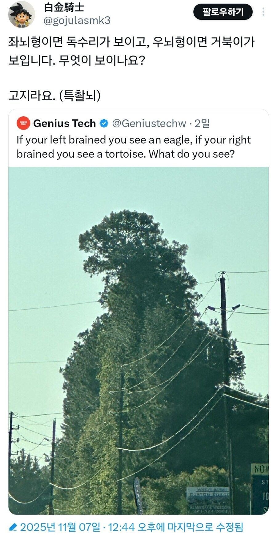 좌뇌형과 우뇌형_1.jpg