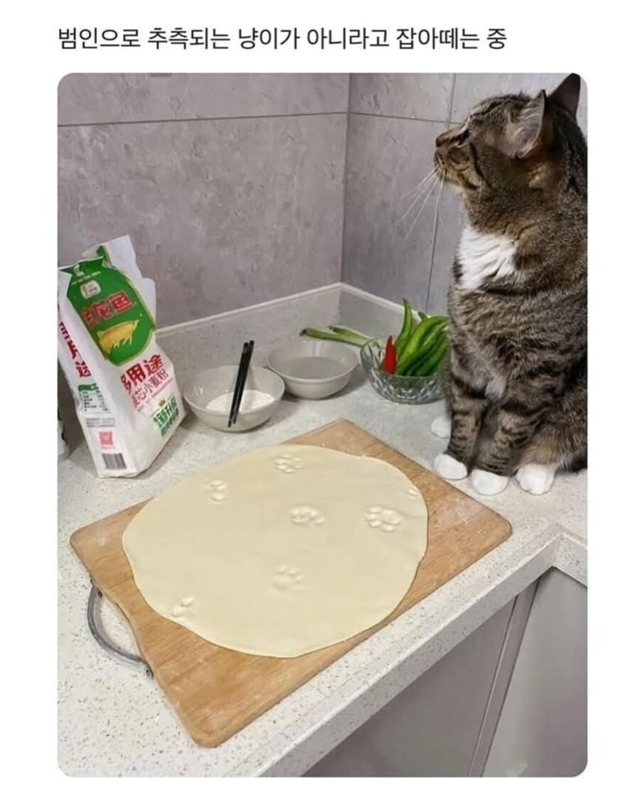 범인은 말이 없다_1.jpg