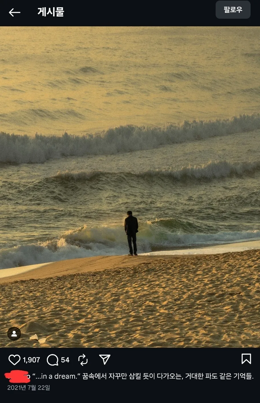 유명 독일 작가가 한국 작가 작품 표절 의혹_4.webp