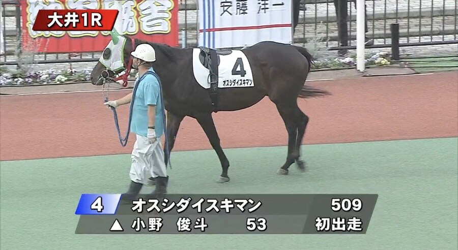 경마 첫 출주인 말의 이름.jpg_1.jpg