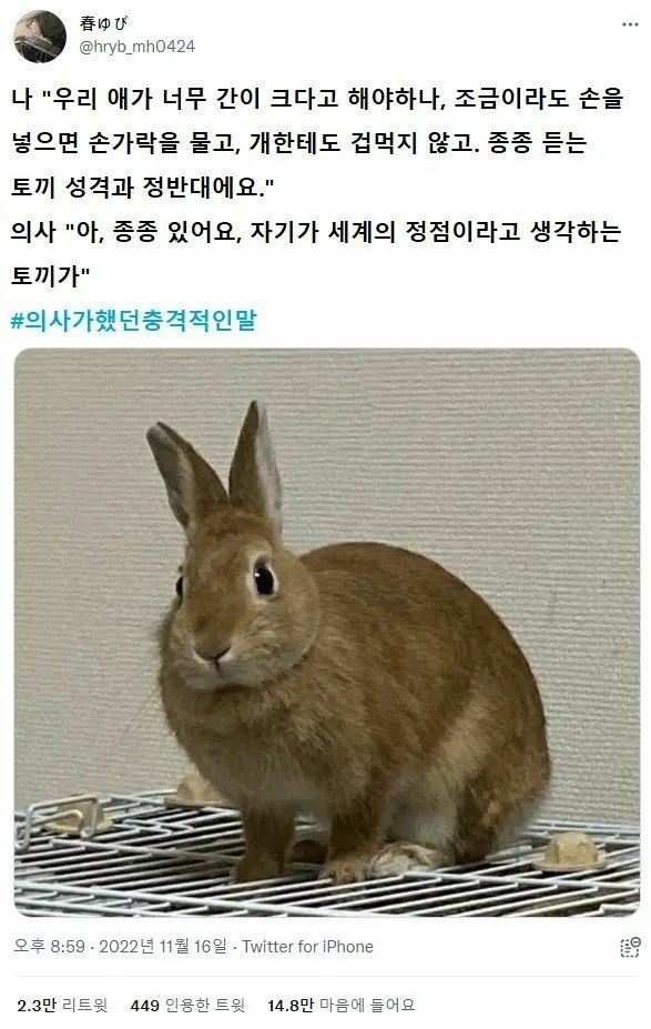 의사가 했던 충격적인 말._1.webp