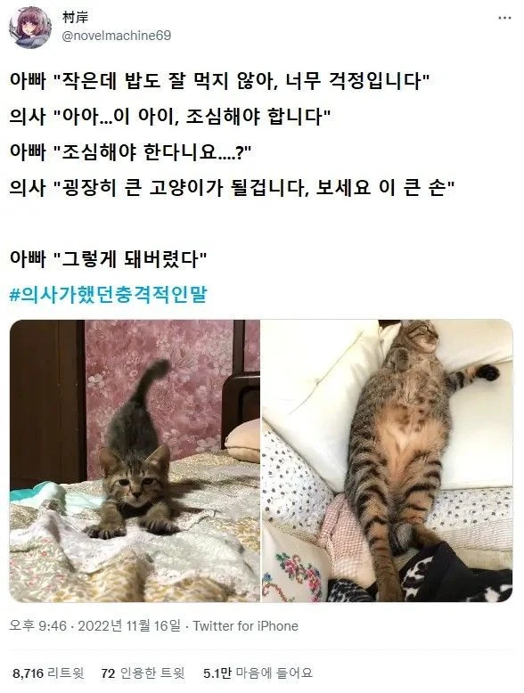 의사가 했던 충격적인 말._4.webp