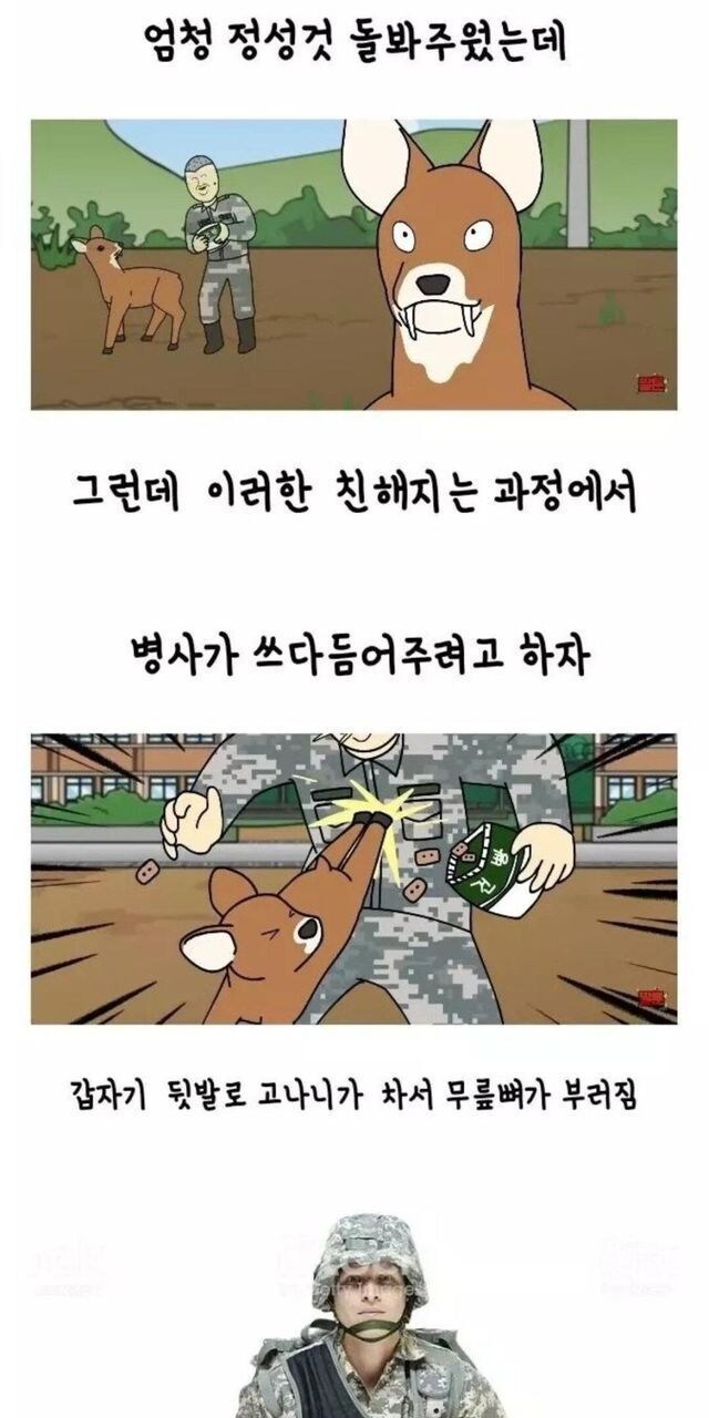 고라니의 보복같은 보은_2.jpg