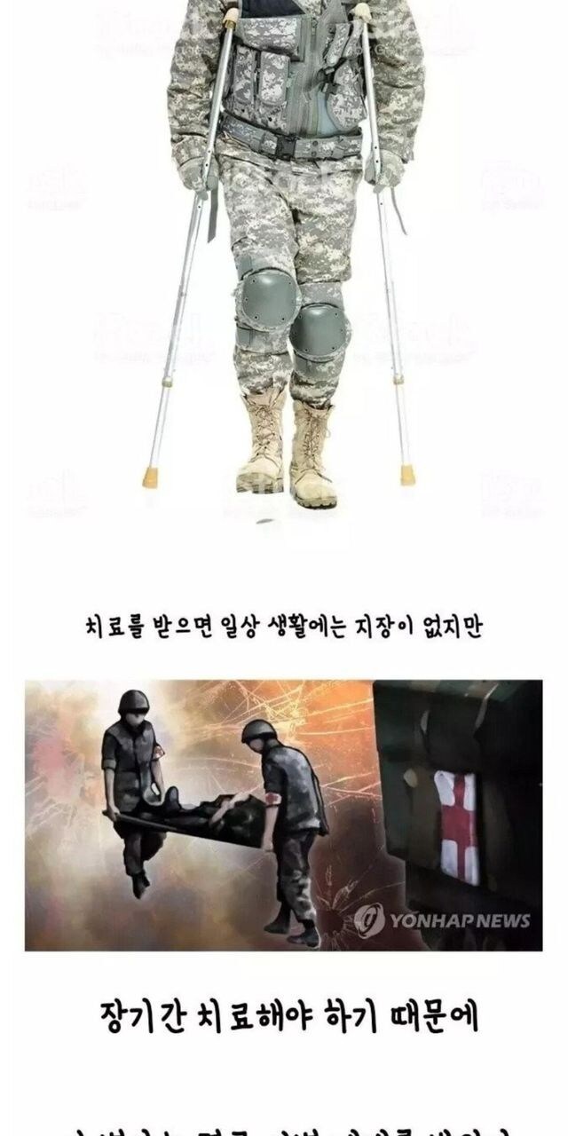 고라니의 보복같은 보은_3.jpg