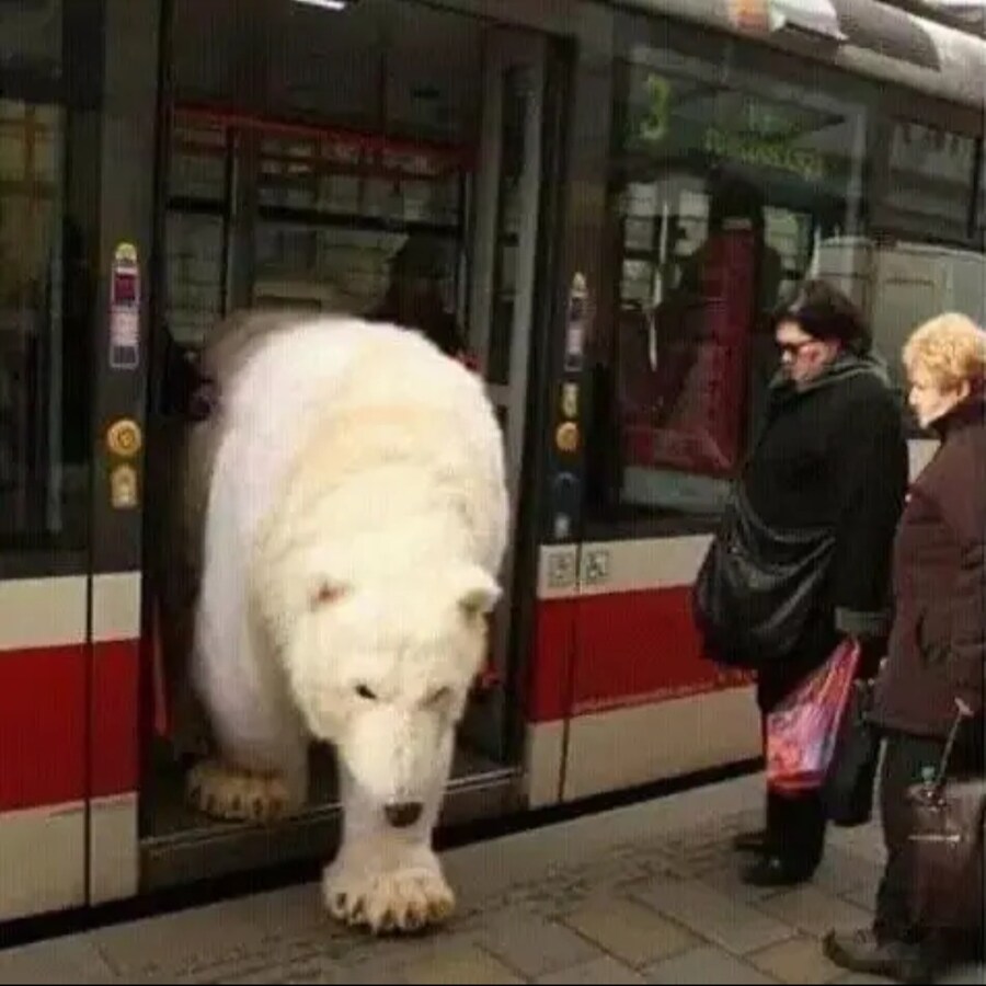 ???: 저 좀 내릴게요_1.jpg