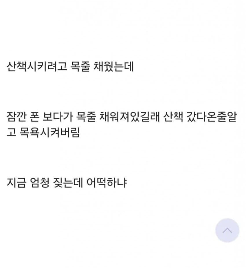 공포의 댕댕이.jpg_2.jpg