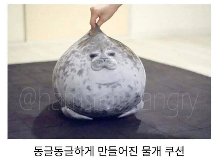 업체는 사과 했지만 고객들은 열광한 제품_1.jpg