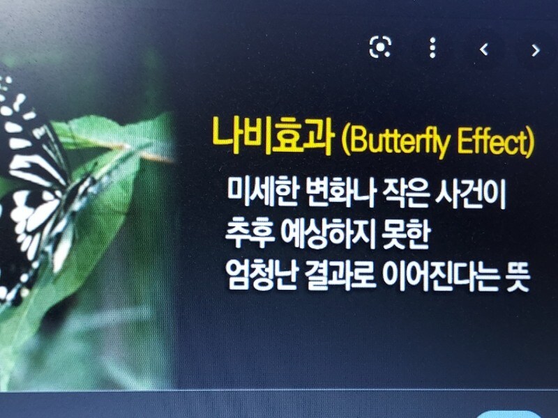 나비효과 뜻을 바로 아는법_1.jpg