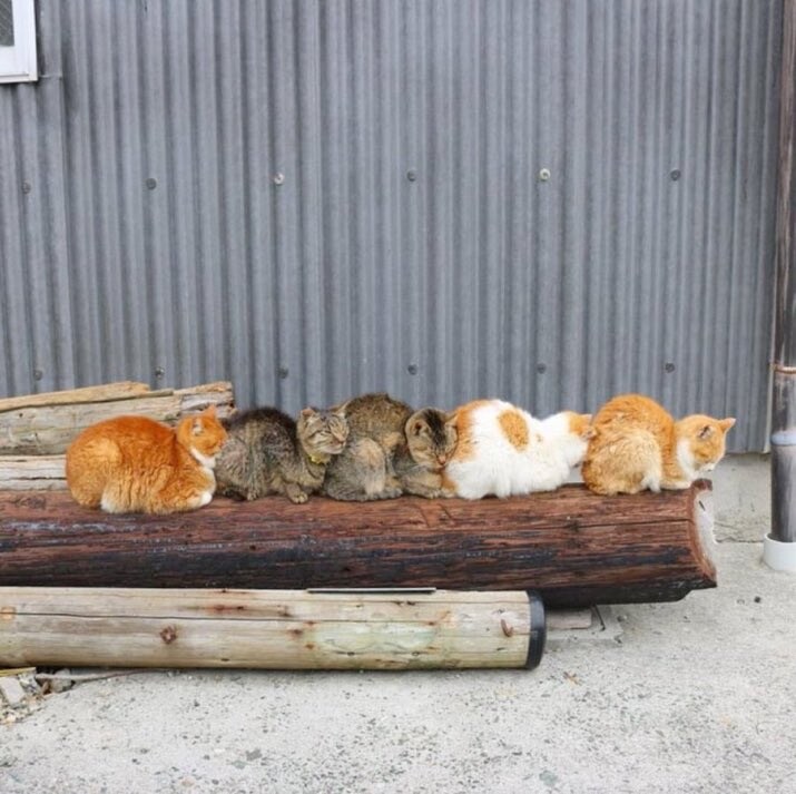 추돌사고 현장.jpg_1.jpg