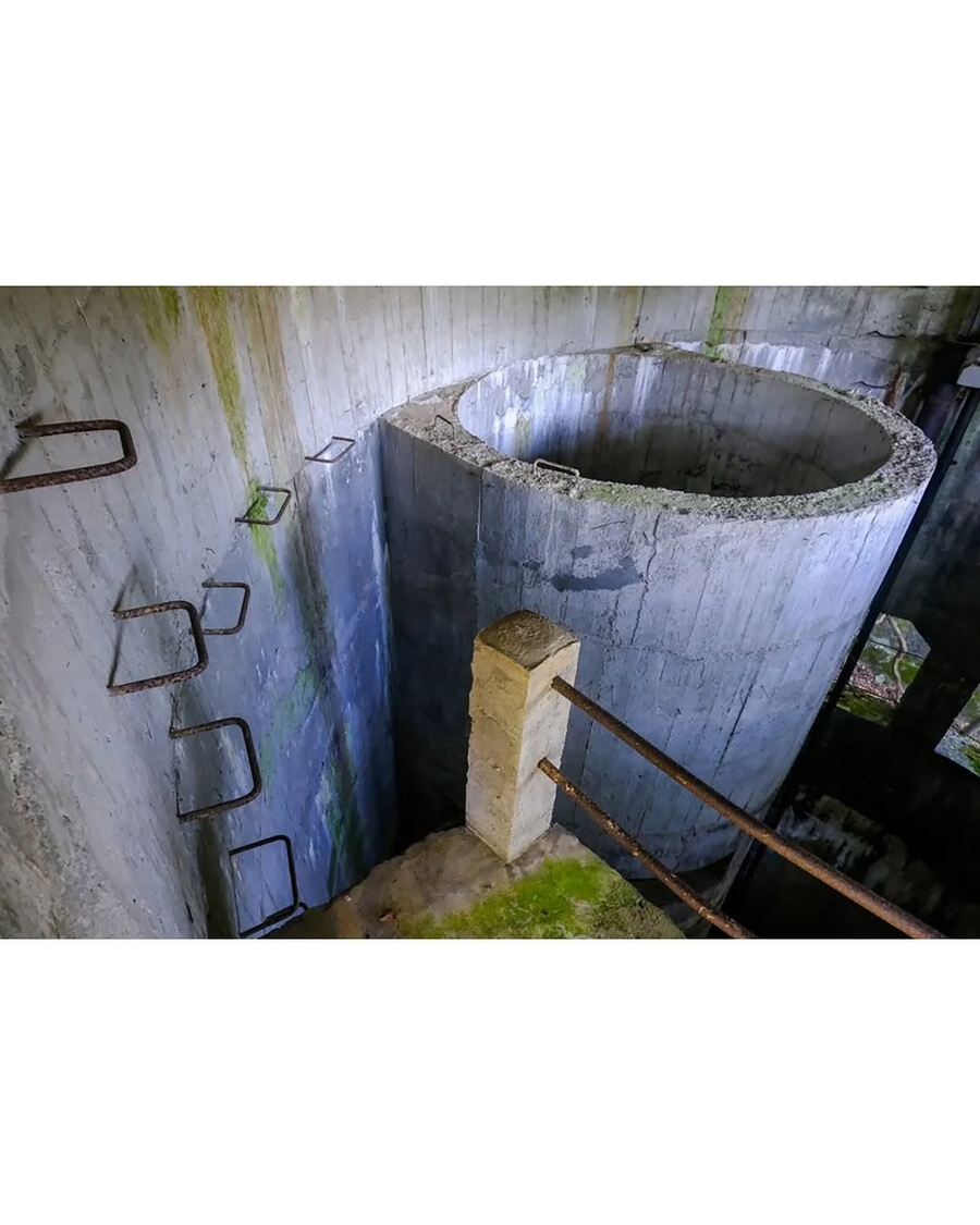 남자가 일찍 죽는.eu_1.webp