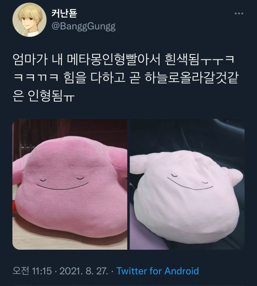 하얗게 불태운 메타몽.jpg_1.jpg