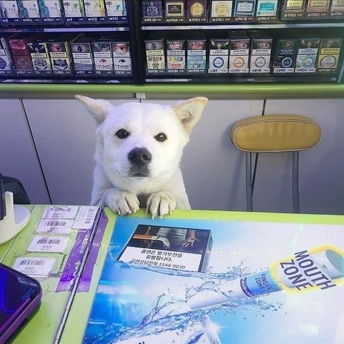 편의점 알바 ㄱㅅㄲ네 진짜.jpg_1.jpg