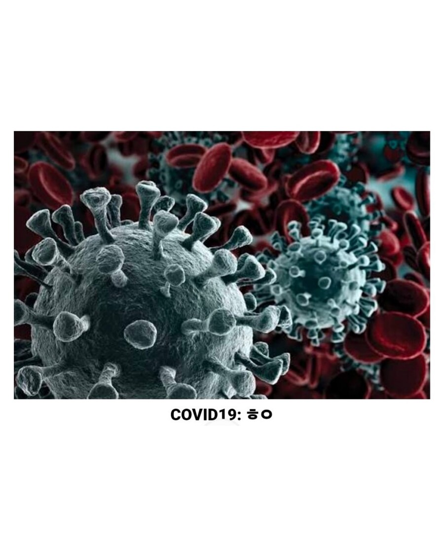 800억 세금으로 만든 관광지의 최후_6.jpg