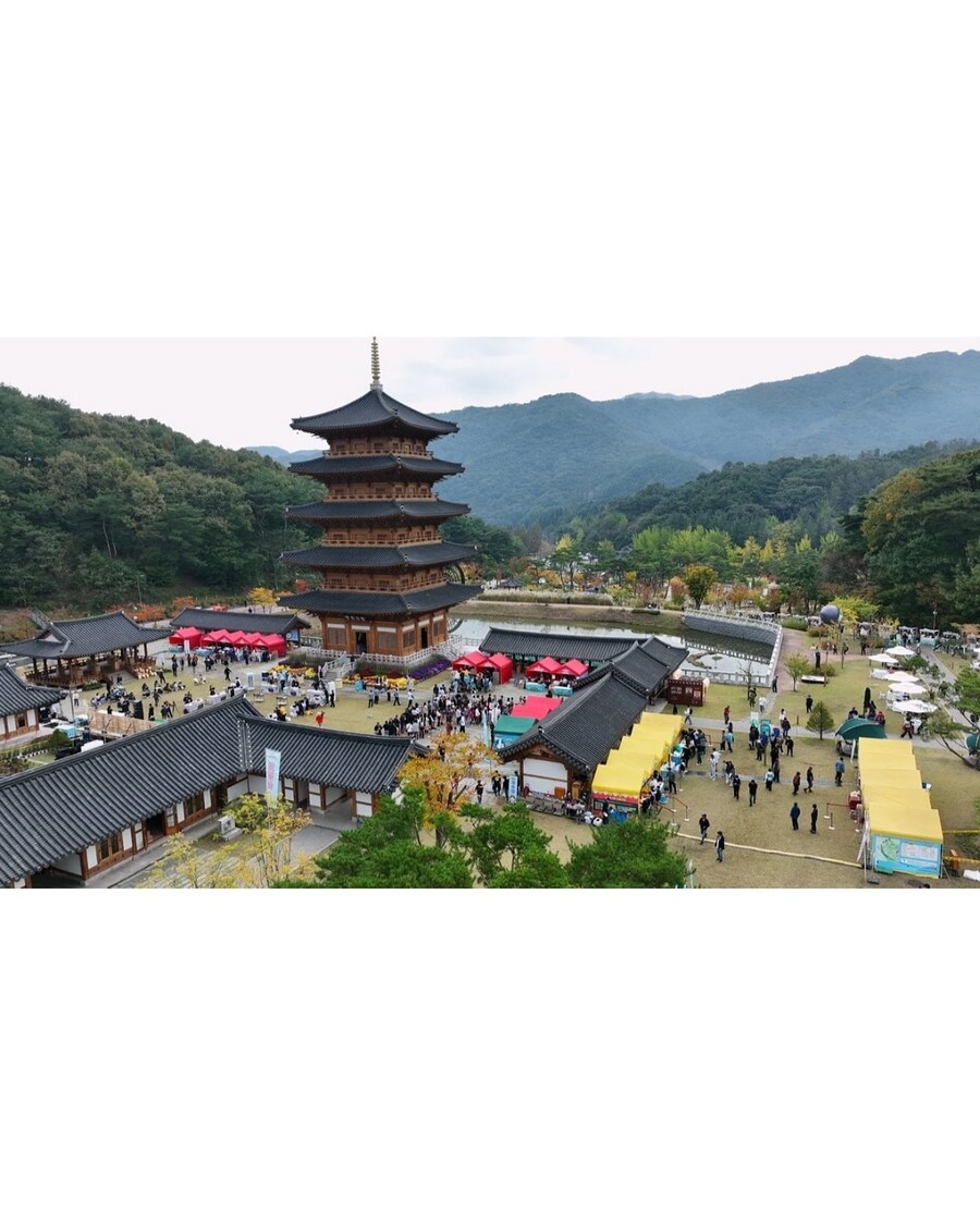 800억 세금으로 만든 관광지의 최후_8.jpg