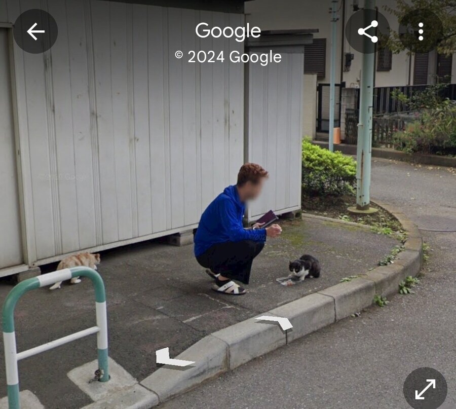 구글 맵에서 폭로당한 양아치의 만행_1.jpg