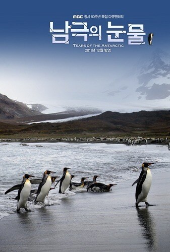 남극의 뭐시기 재밌기만 하더만 뭔 난리들이여_1.jpg
