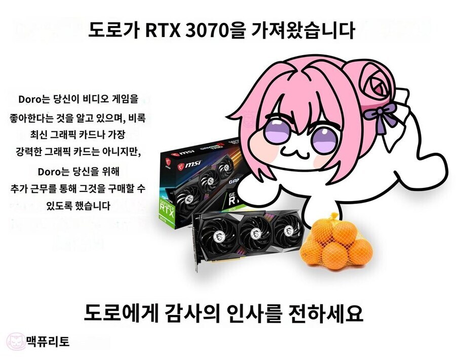 도로롱이 그래픽 카드를 가져왔습니다_1.jpg