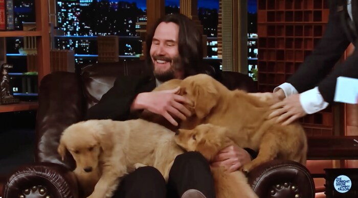 행복해진 존 윅_1.png