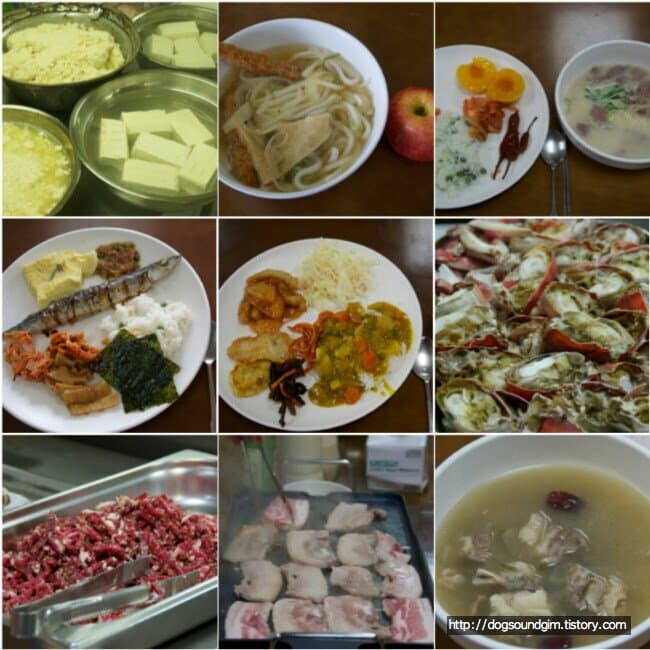 남극의시프)과학기지에서 평소 해먹는것_3.jpg