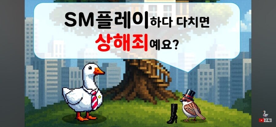 SM플레이 시 수위조절을 권고하는 변호사.jpg_1.jpg