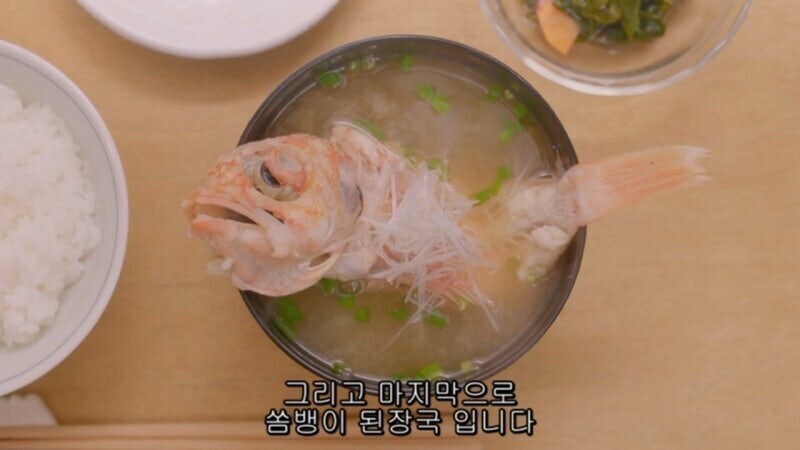 남극기지에 와서 밥해주고 빨래해주는_20.jpg