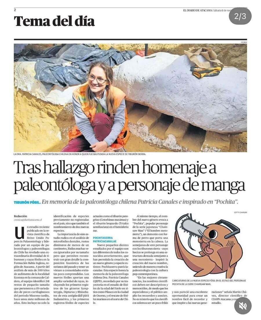 현실 소원을 이룬 체인소맨 캐릭터.jpg_2.jpg