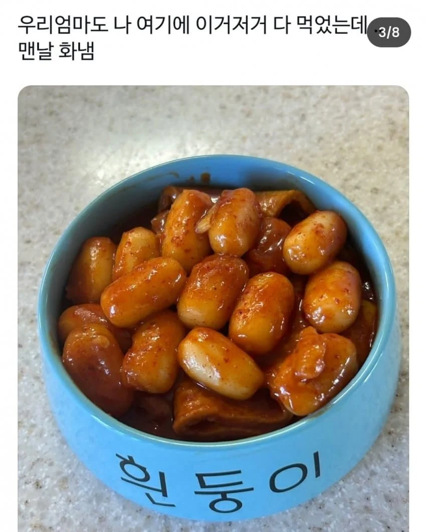 개 밥그릇에 밥먹는 사람_2.webp