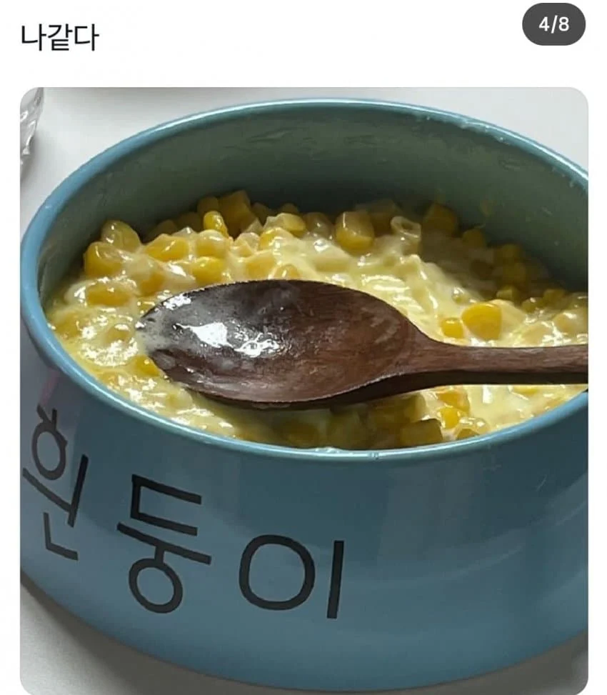 개 밥그릇에 밥먹는 사람_3.webp