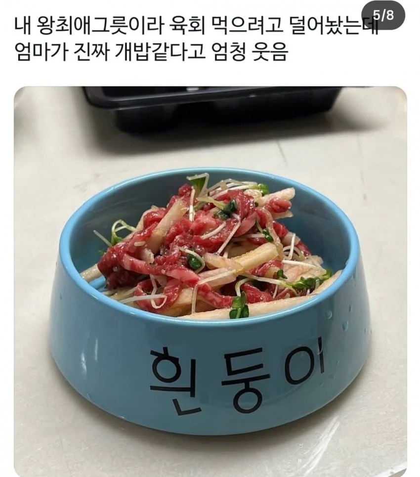 개 밥그릇에 밥먹는 사람_4.webp