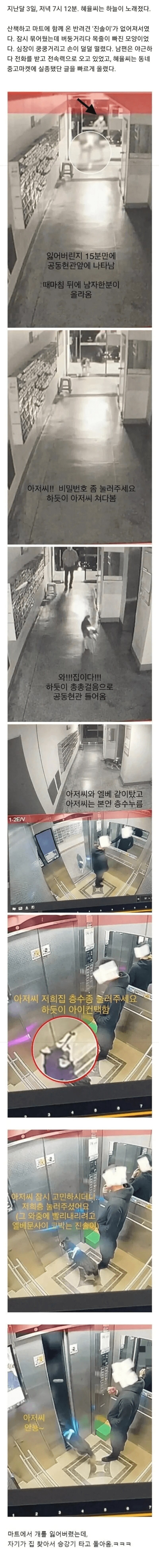 마트에서 개를 잃어버린 사람의 최후_1.jpg