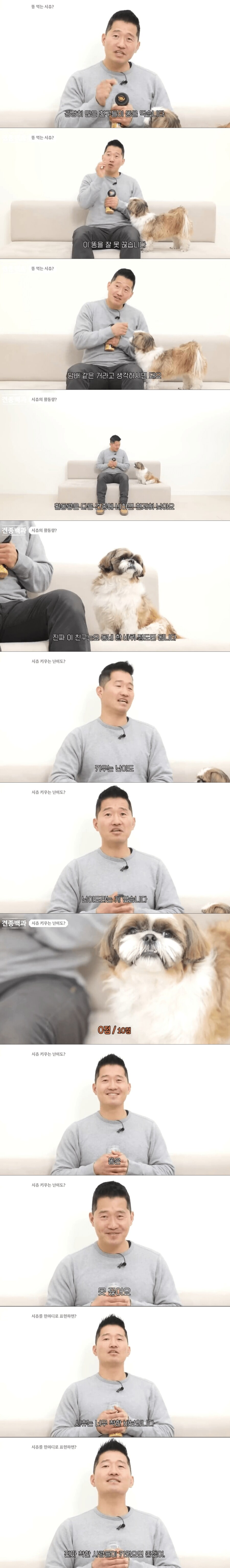 강형욱이 말한 시츄의 거의 유일한 단점.JPG_1.png